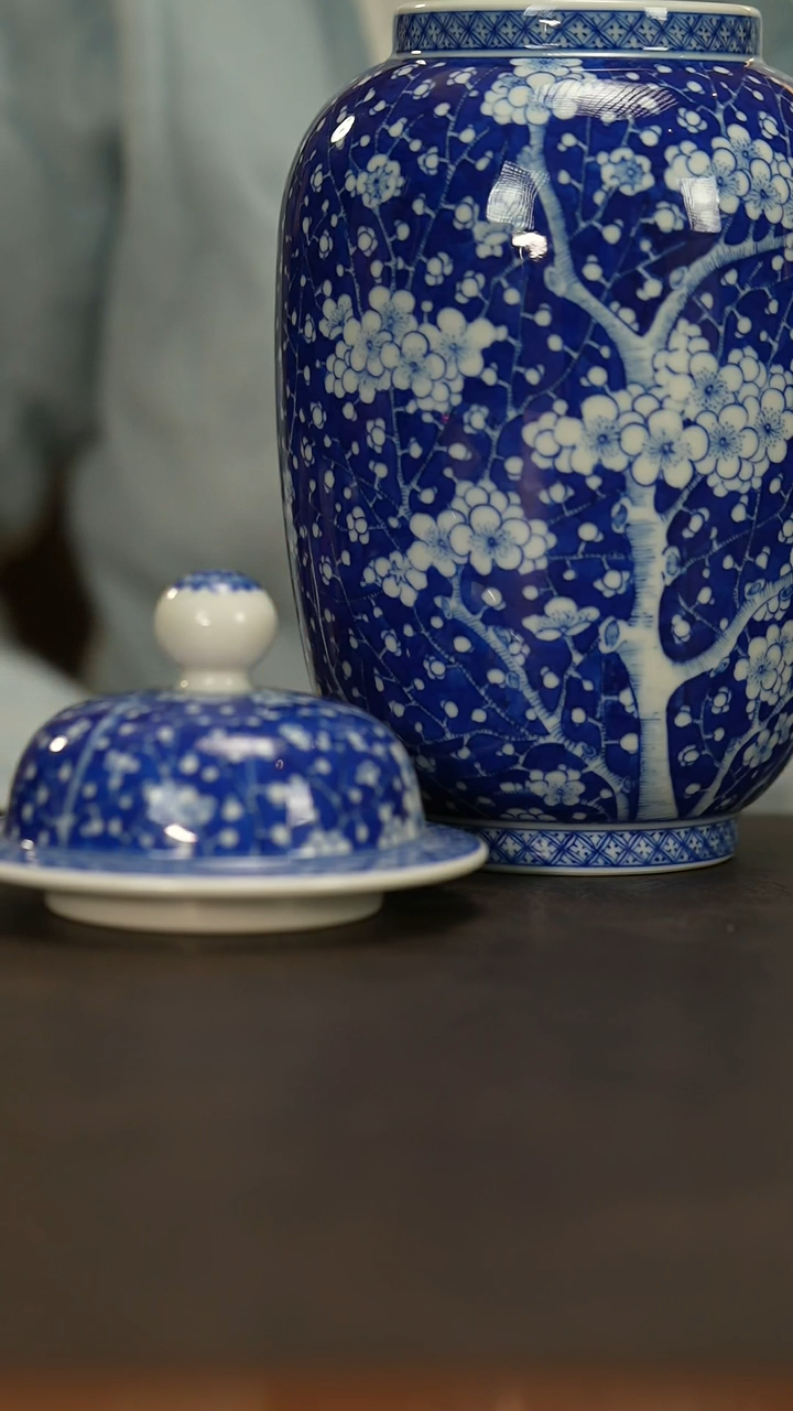 【闪购商品】瓷片占春生          