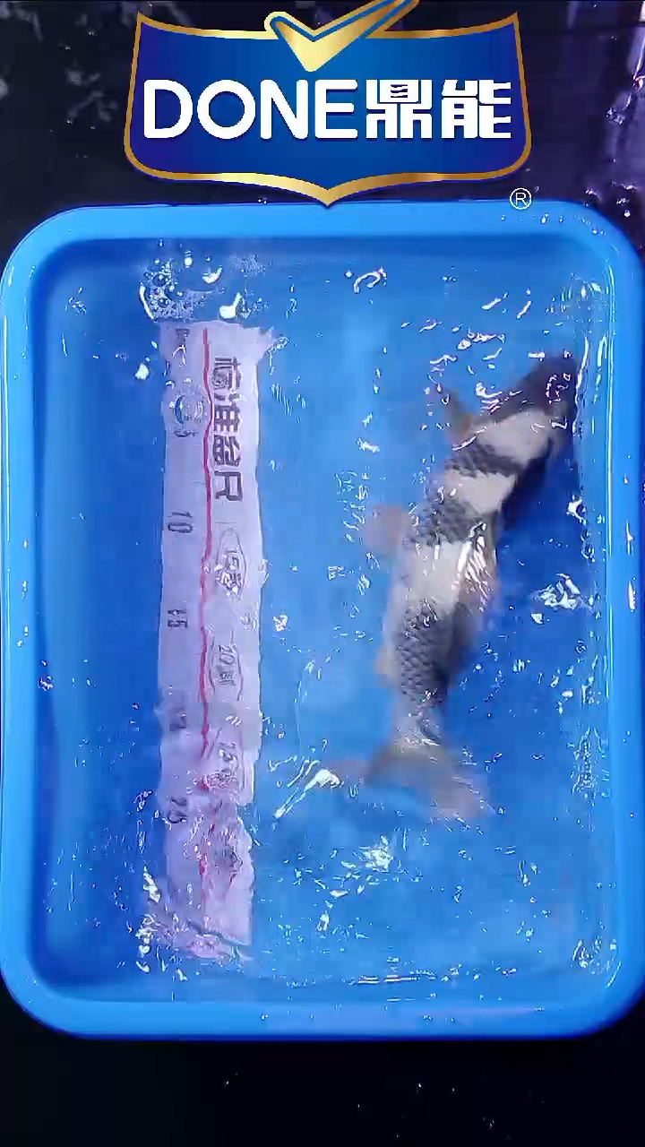 锦鲤鱼悦直播间菁选 18号