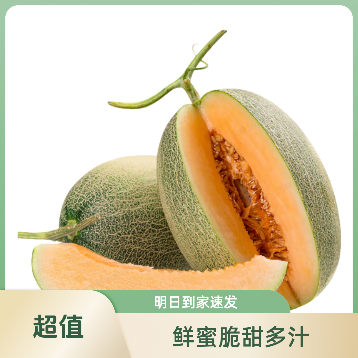 3.9新鲜采摘脆甜多汁西州蜜甜瓜现拍现发明日到你家