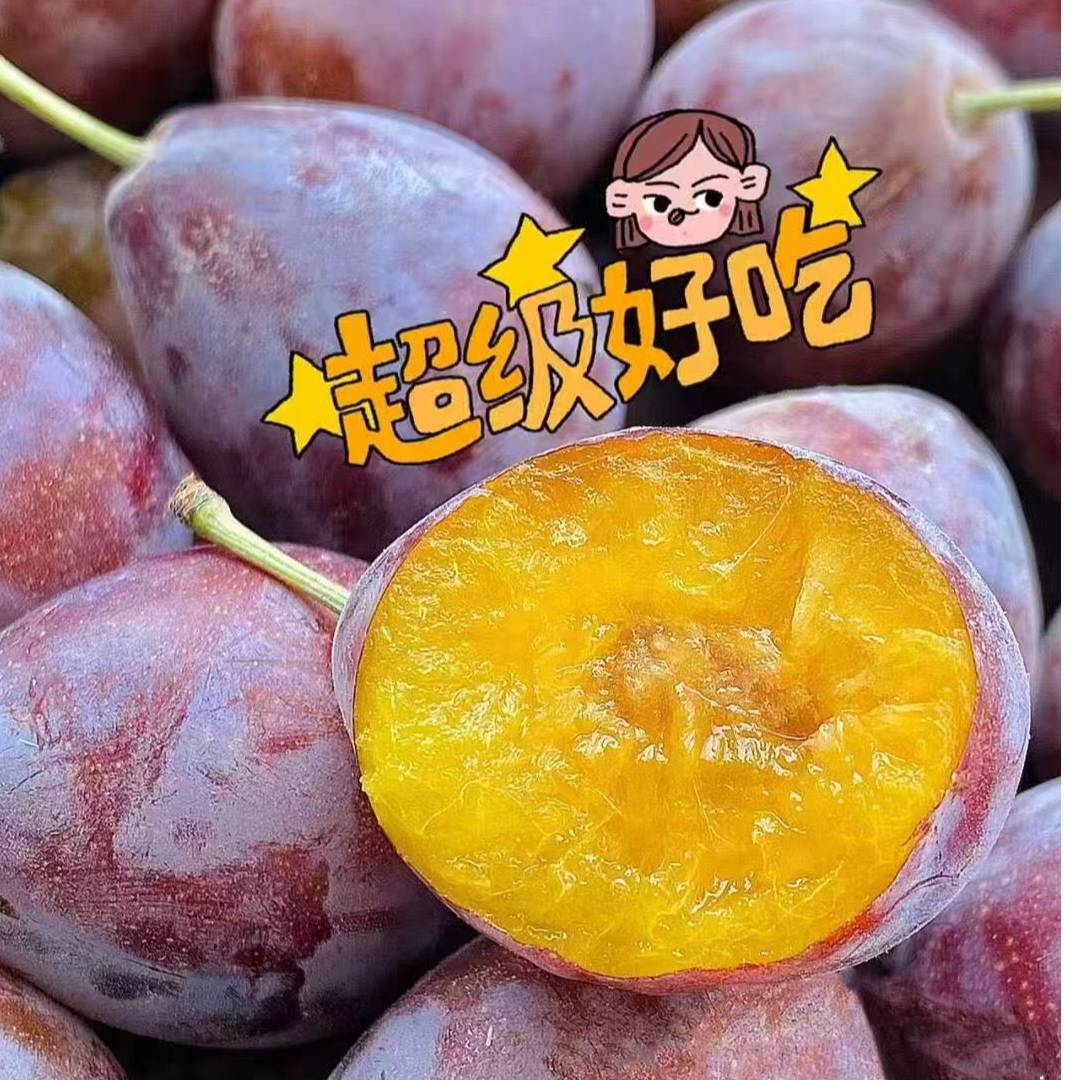 （宁波同城）新疆喀什西梅0.1斤