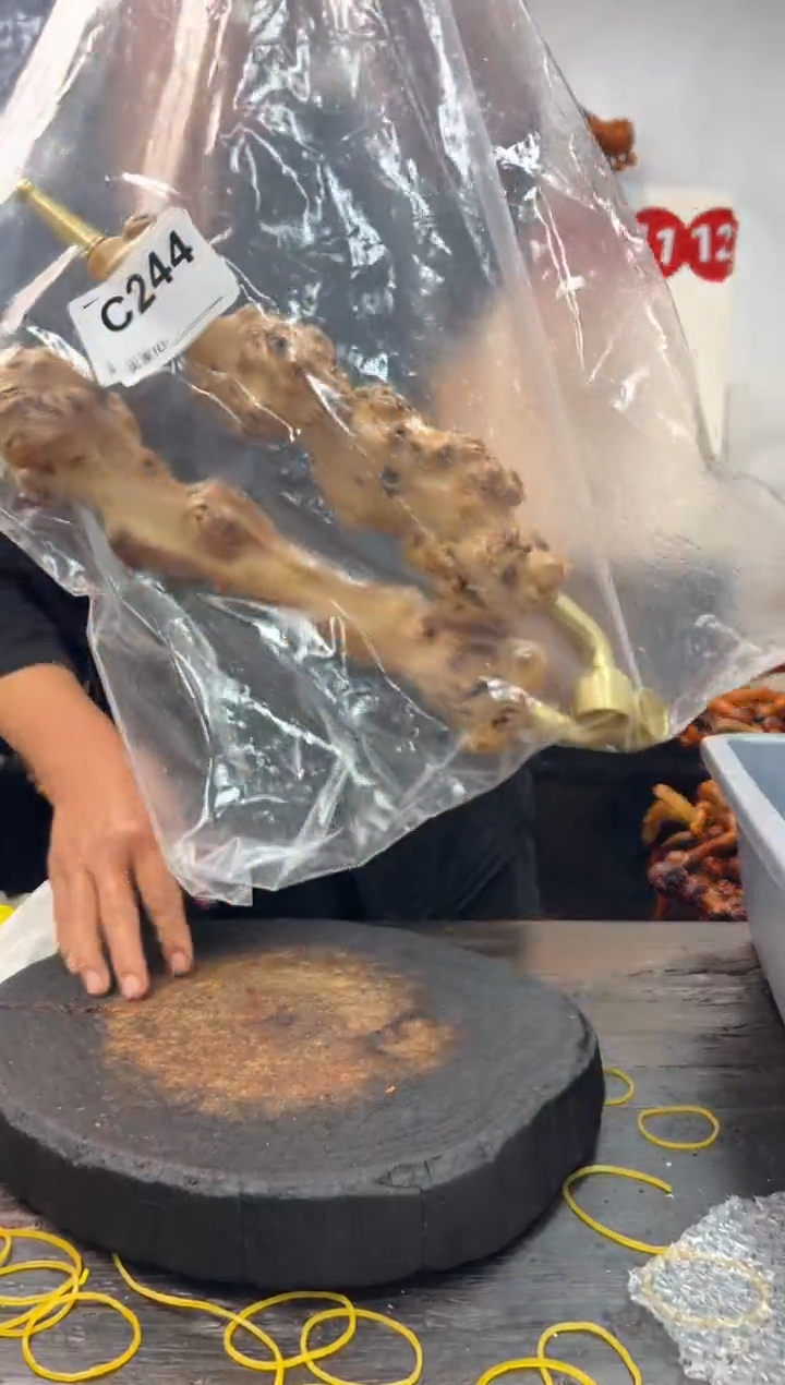 黑果木其他黑果木589