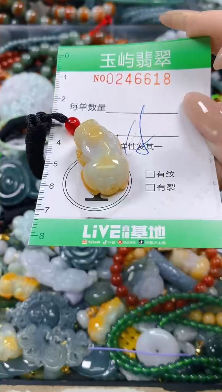 颈饰未镶嵌翡翠闪购0246618