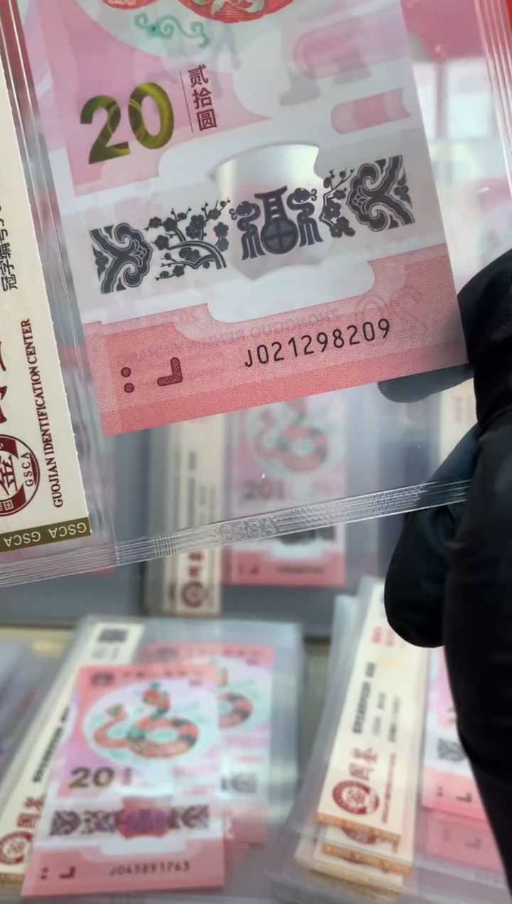 【闪购商品】塑料蛇钞 真钞【单张】8209