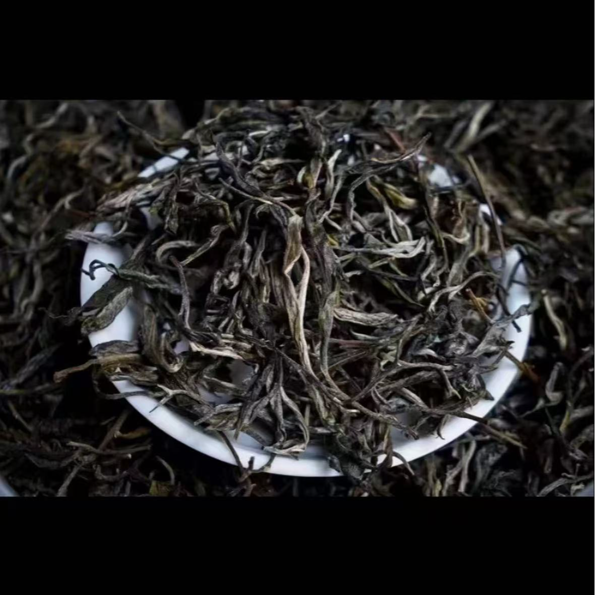 2025年头春东半山普洱生普散茶160克6月7日-【1号品】