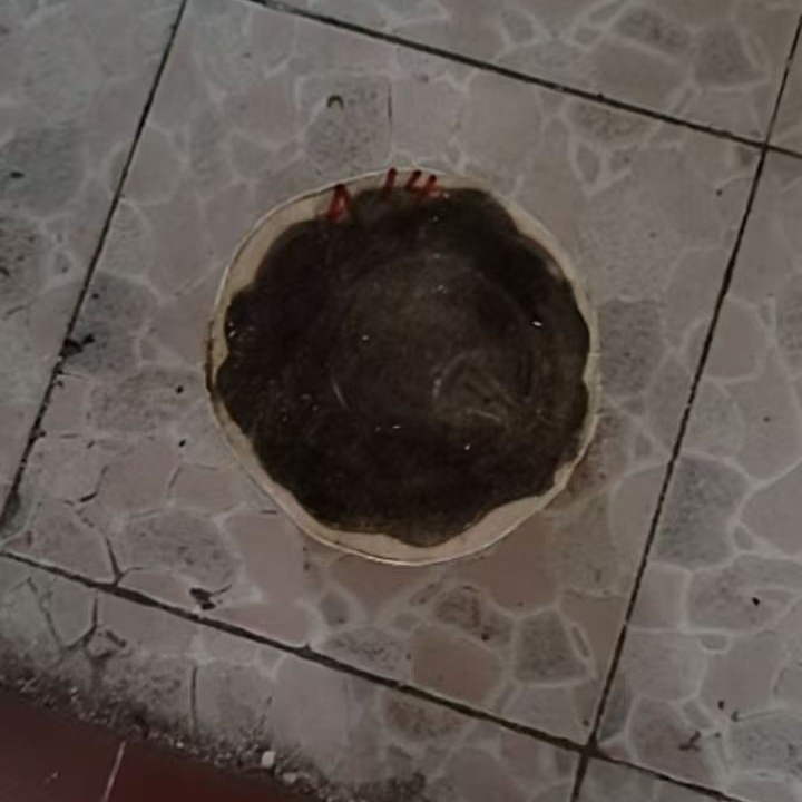 原木段摆件 香头摆件 原木木段 图片仅供参考