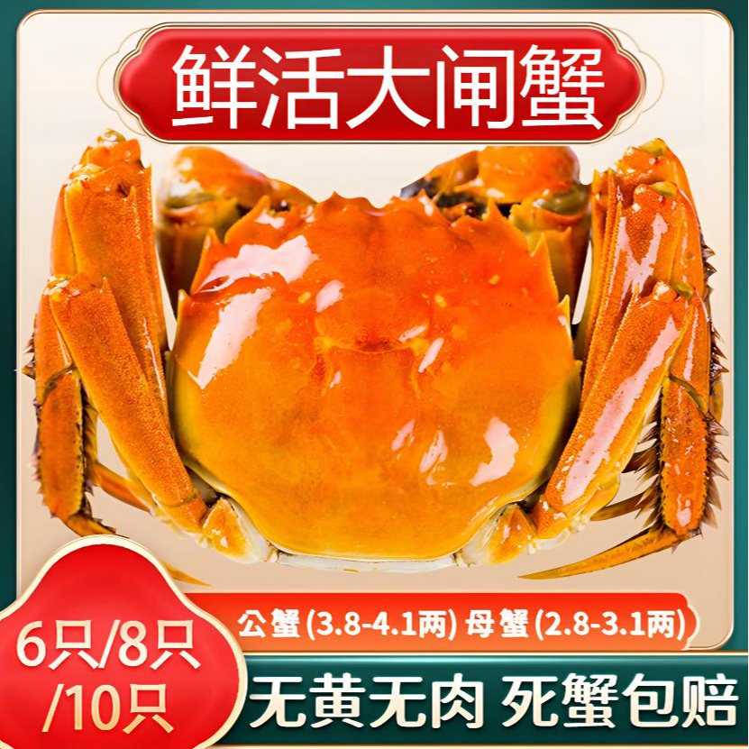 【活蟹】精品大闸蟹公3.8-4.1两母2.8-3.1两3/4/5对网兜装