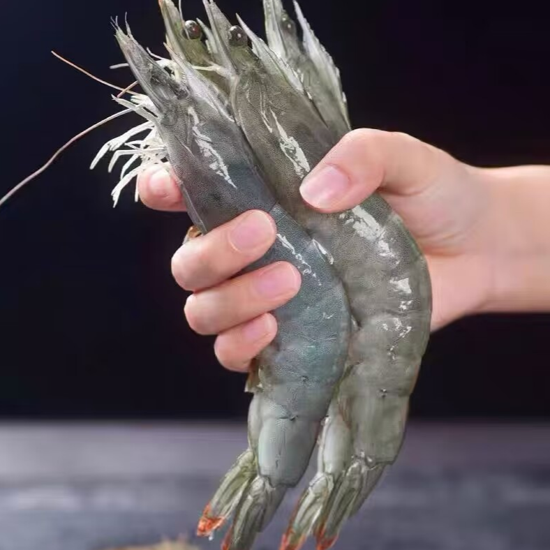 【青岛大虾3斤送1斤】 2030规格 肉质鲜甜脆嫩 一箱4斤 单只15-18cm 40-50只  顺丰多仓发货海洋大虾