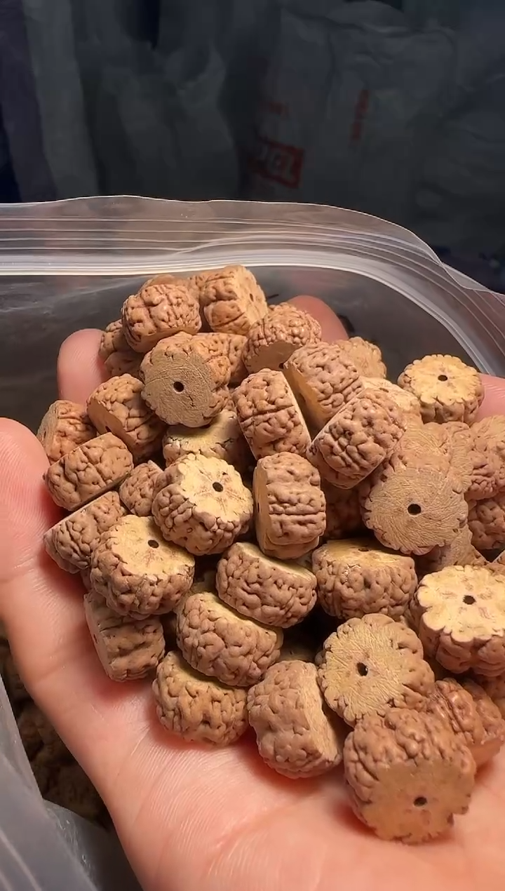 手串金刚菩提非全品薄切魔丸龙珠散籽13-14mm一份一百颗