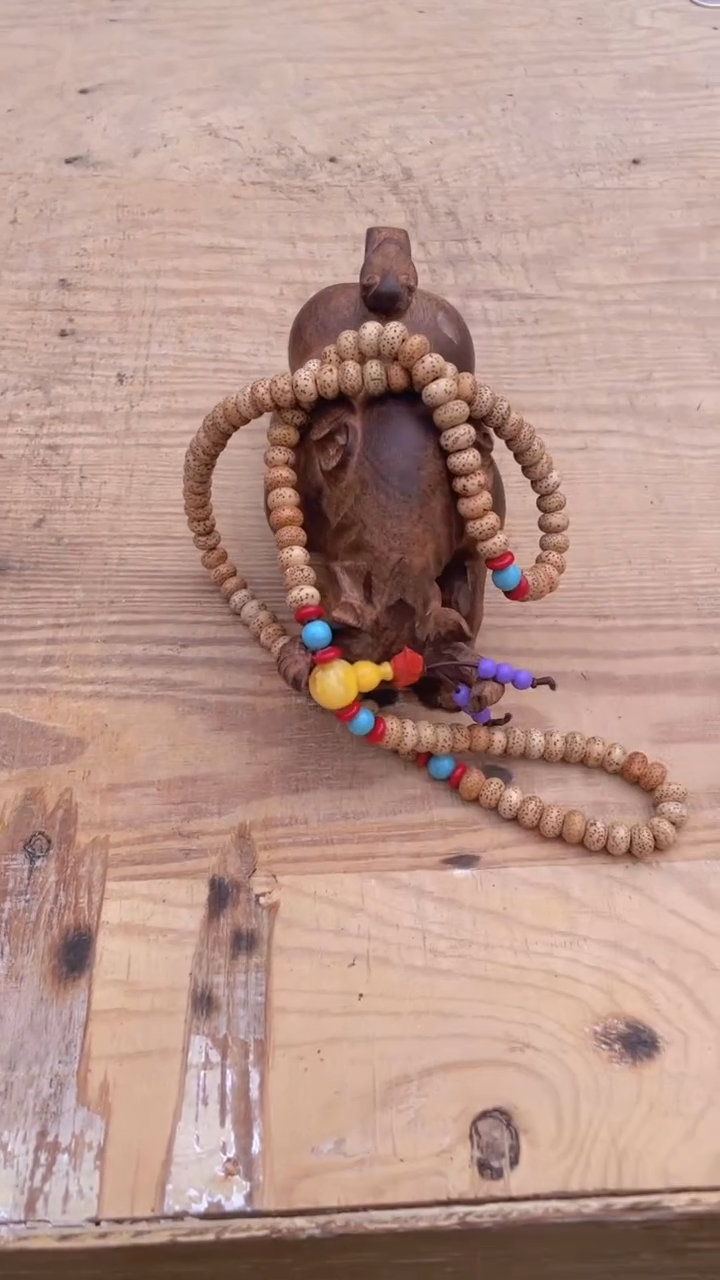 【闪购商品】菩提根/象牙果吊坠精品好物  好物菩提