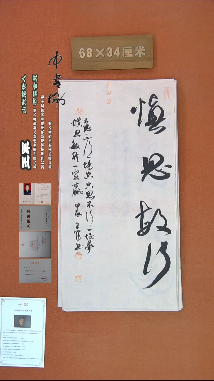 【闪购商品】书法237王军书法作品