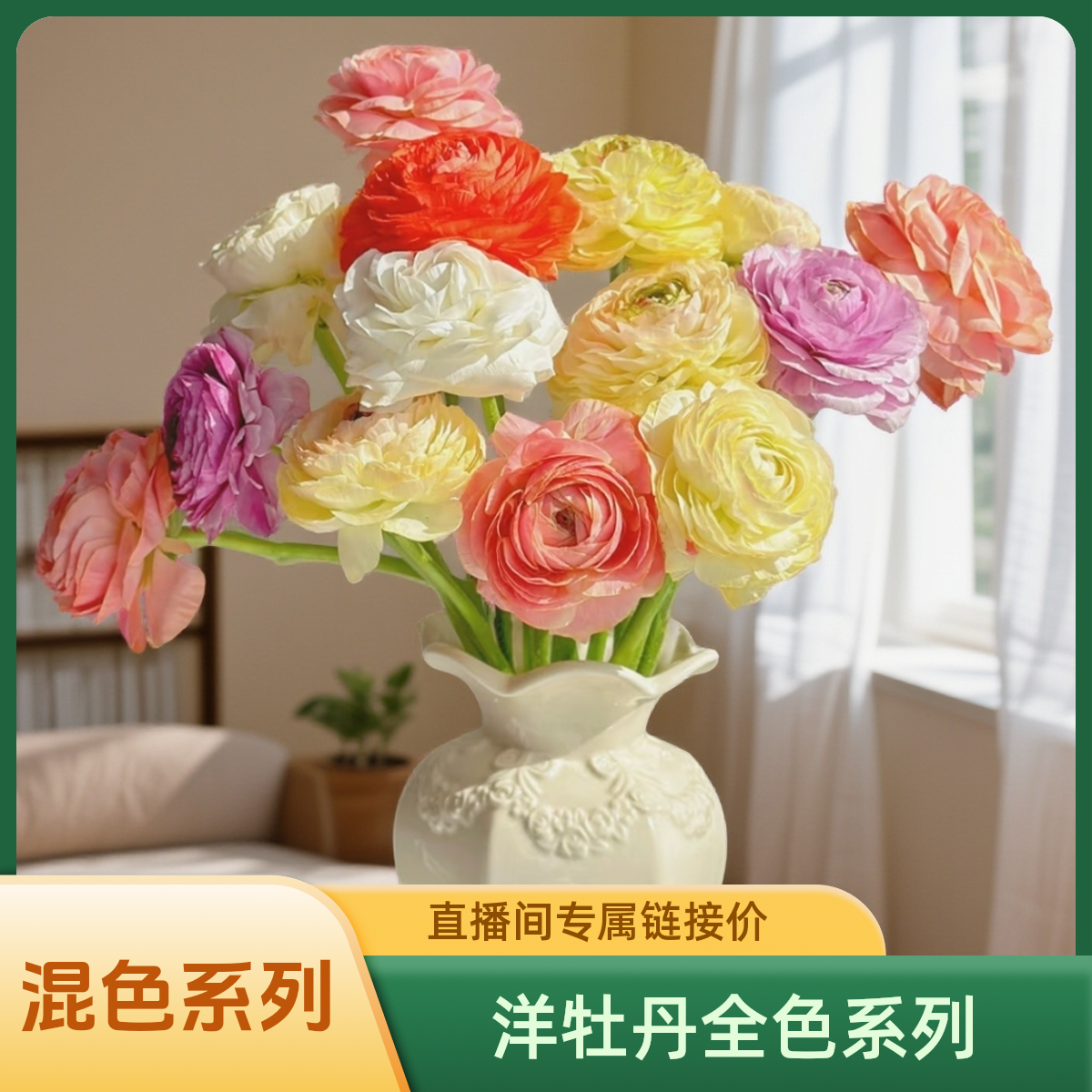 【AAA级全色洋牡丹系列】直播间专属全色链接，支持拼色下单备注