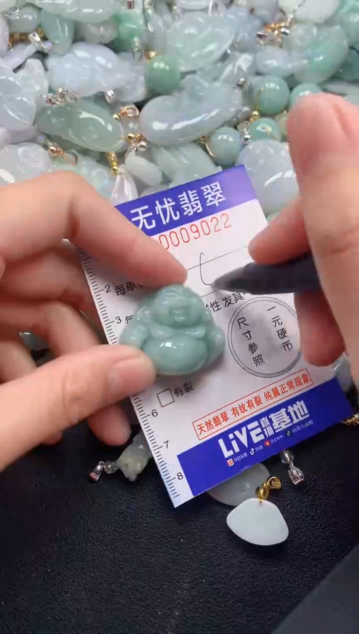 颈饰未镶嵌翡翠9022