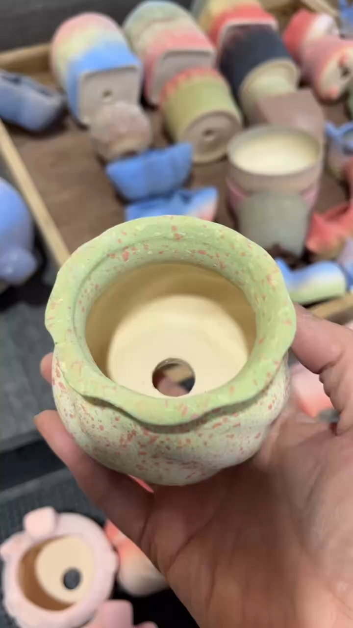 【闪购商品】红陶6*6