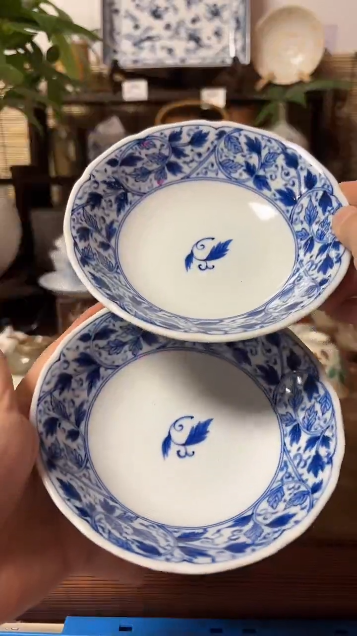 【闪购商品】瓷片喵喵家都是大漂亮