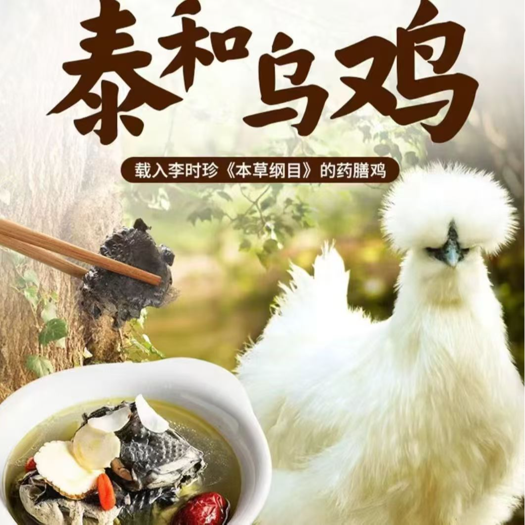 正宗原种泰和乌鸡  新鲜现杀  林下散养顺丰包邮到家