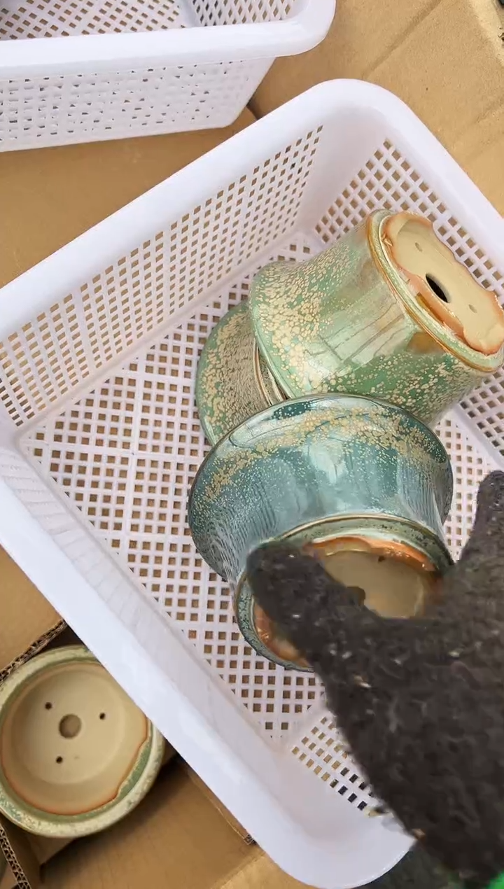 用****654号3个微瑕的