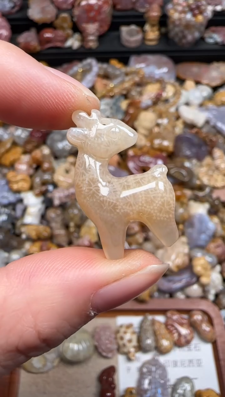 硅化珊瑚（珊瑚玉）未镶嵌颈饰506