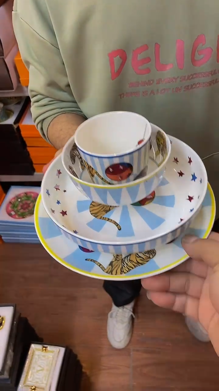 【闪购商品】鸿辉家品牌瓷器，京东包邮！