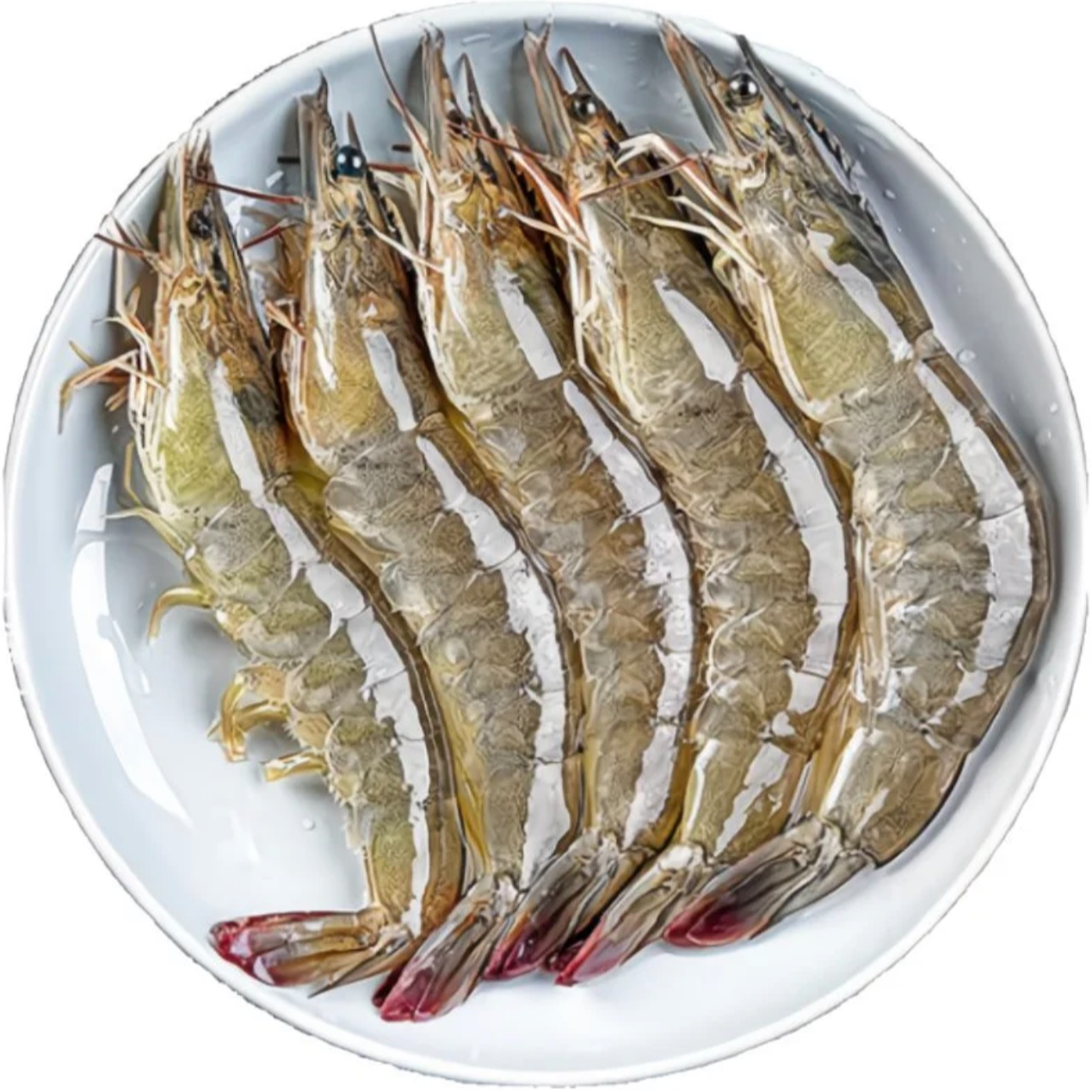 W2【拍3斤送一斤到手4斤】肉质鲜嫩大个头单只15cm左右一盒4斤顺丰京东冷链包邮