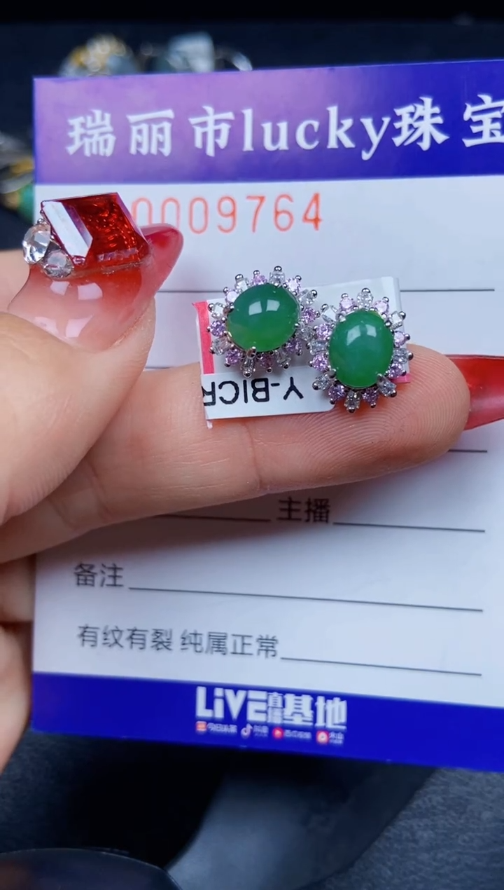 【闪购商品】翡翠颈饰银S925镶嵌9764