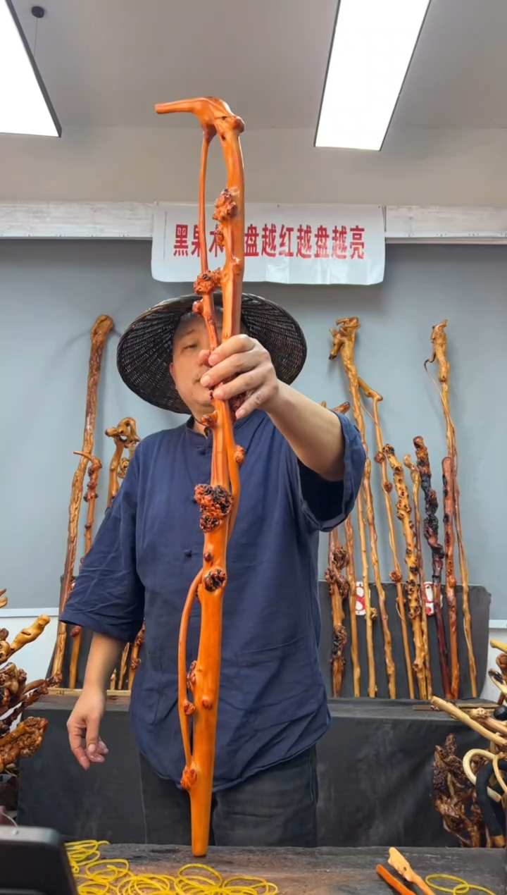 【闪购商品】黑果木其他黑果木030