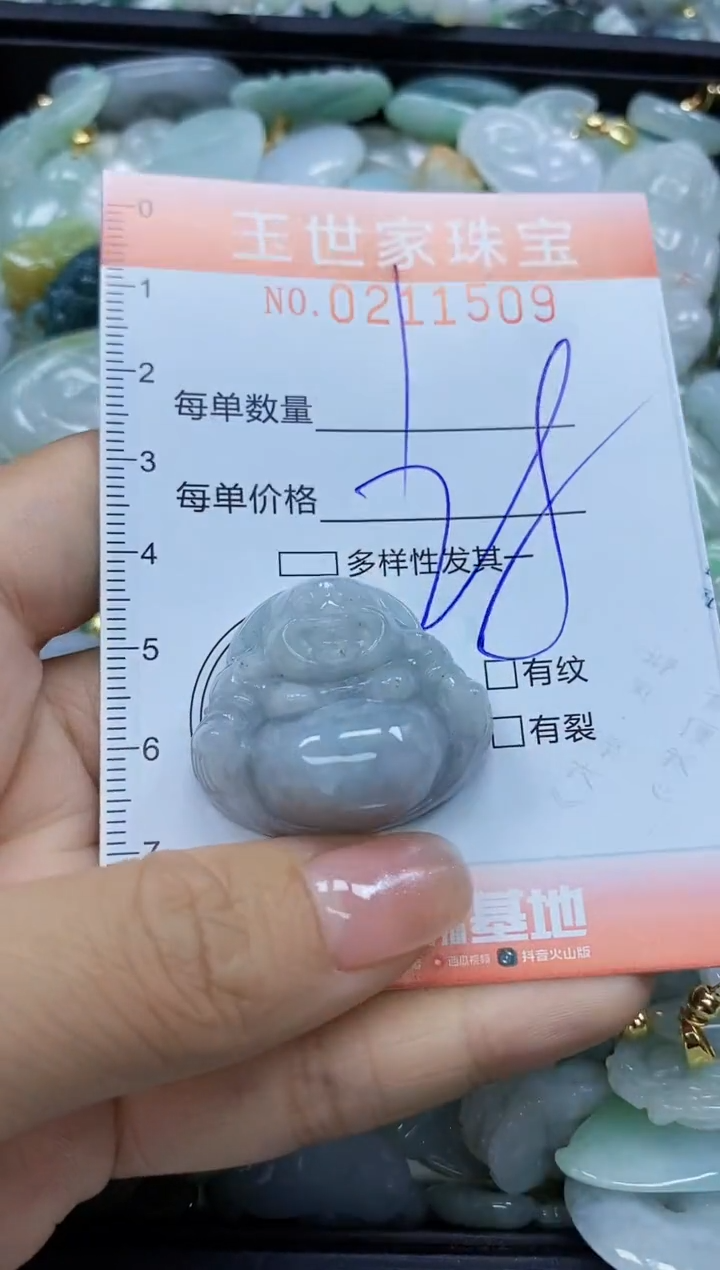 【闪购商品】翡翠颈饰未镶嵌闪购0211509