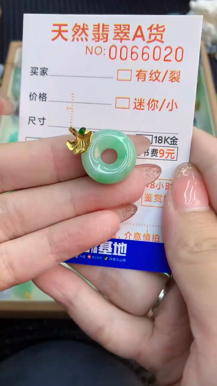 翡翠银S925镶嵌颈饰            8