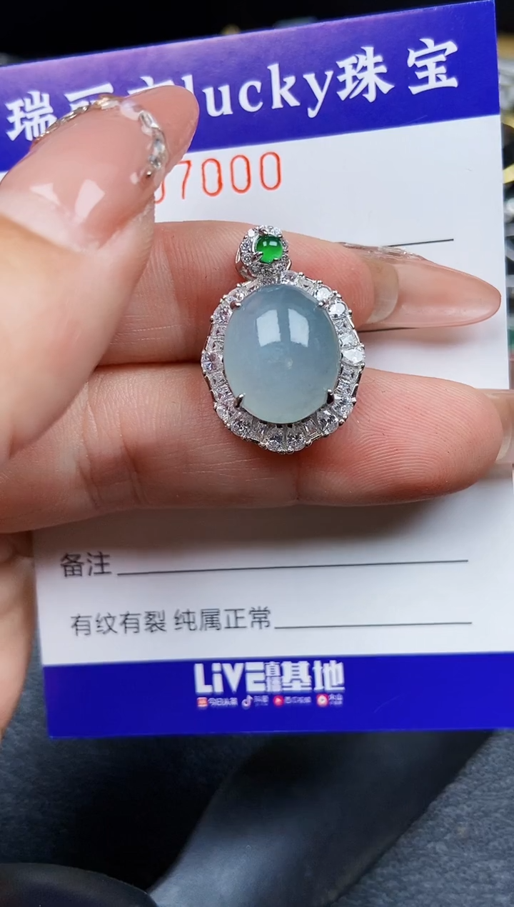 翡翠银S925镶嵌颈饰7000