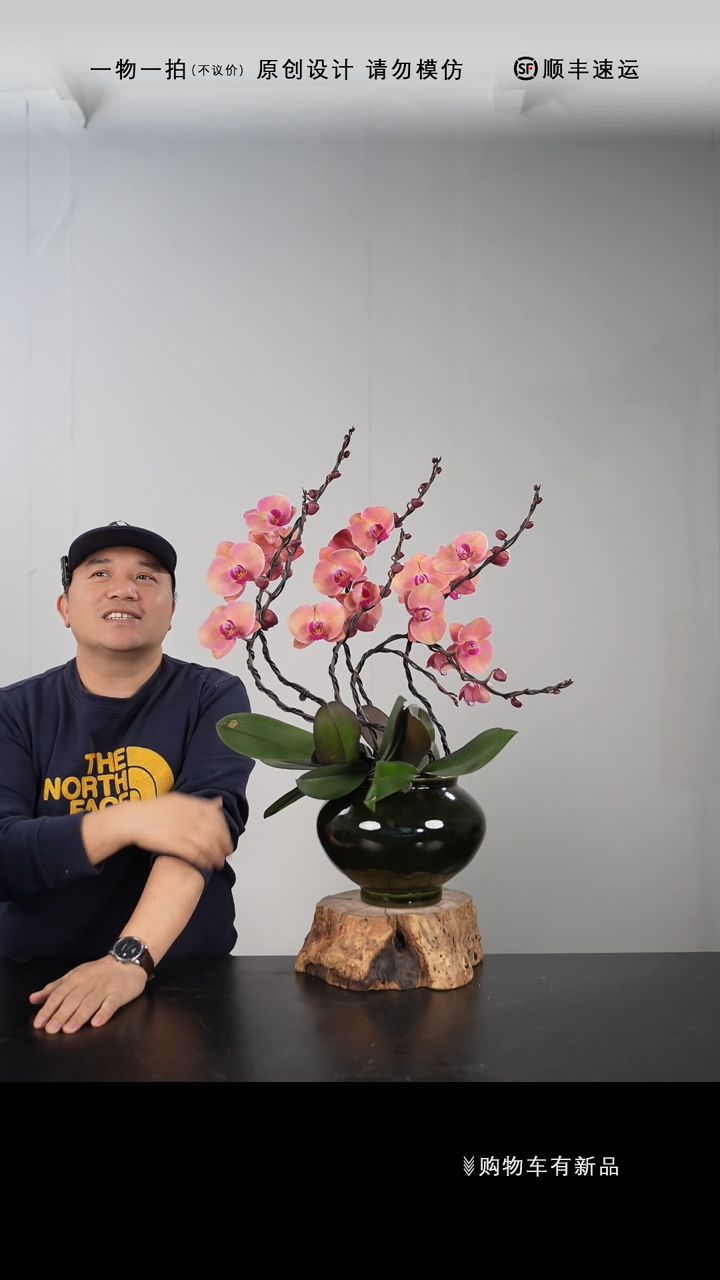 【闪购商品】052号链接【一物一拍】艺术盆景