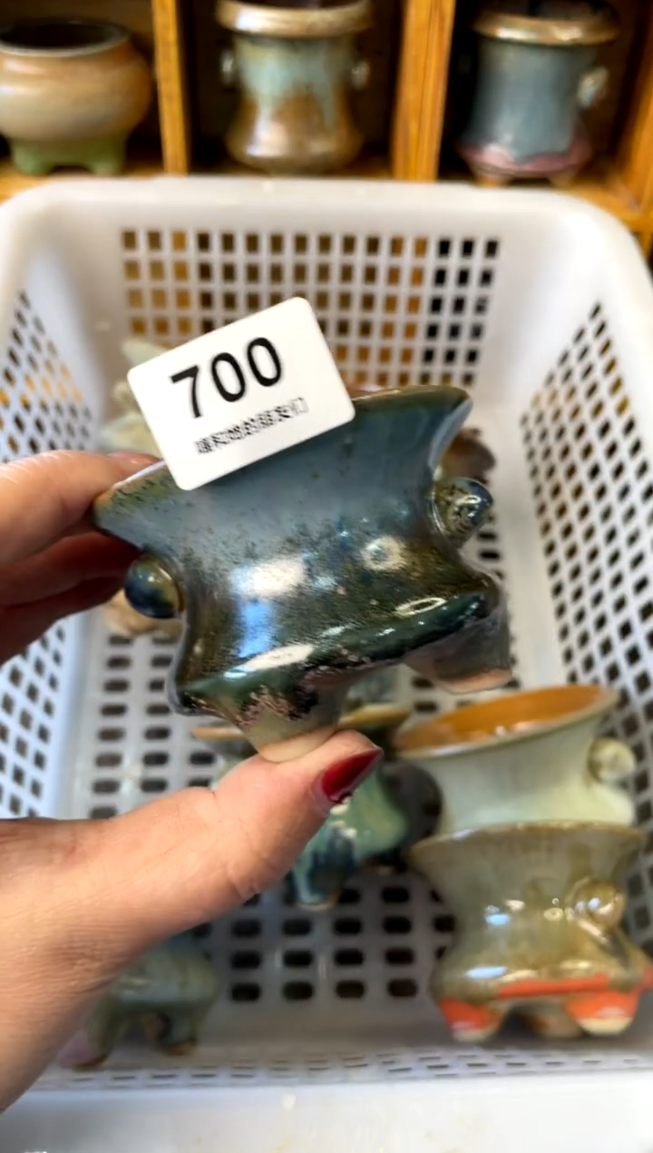 【闪购商品】陶700 内口6.5【喵喵团圆多肉盆】