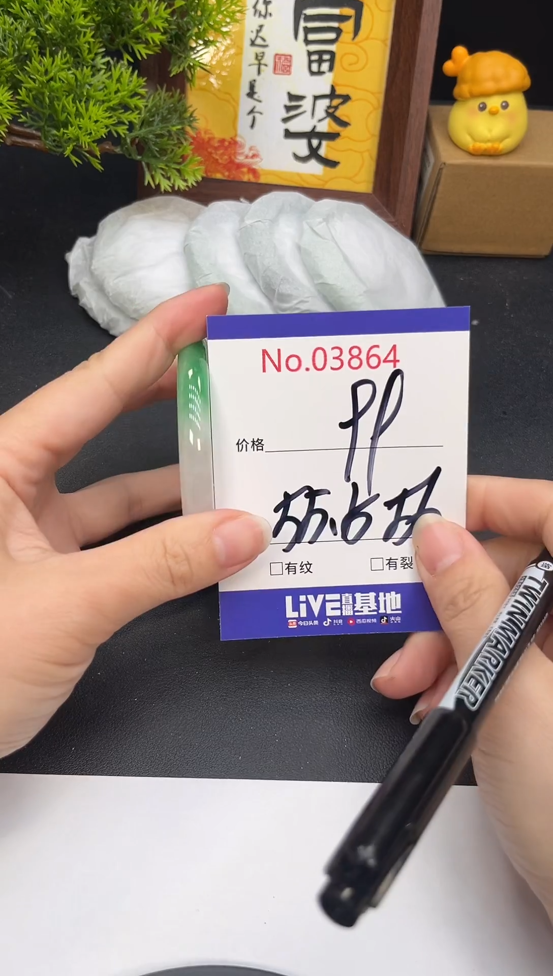 未镶嵌手镯翡翠3864