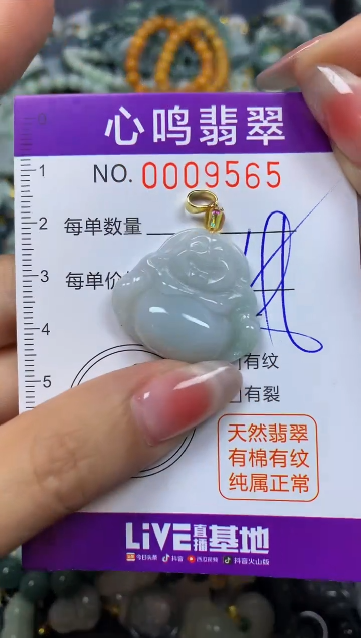 【闪购商品】翡翠颈饰未镶嵌闪购009565