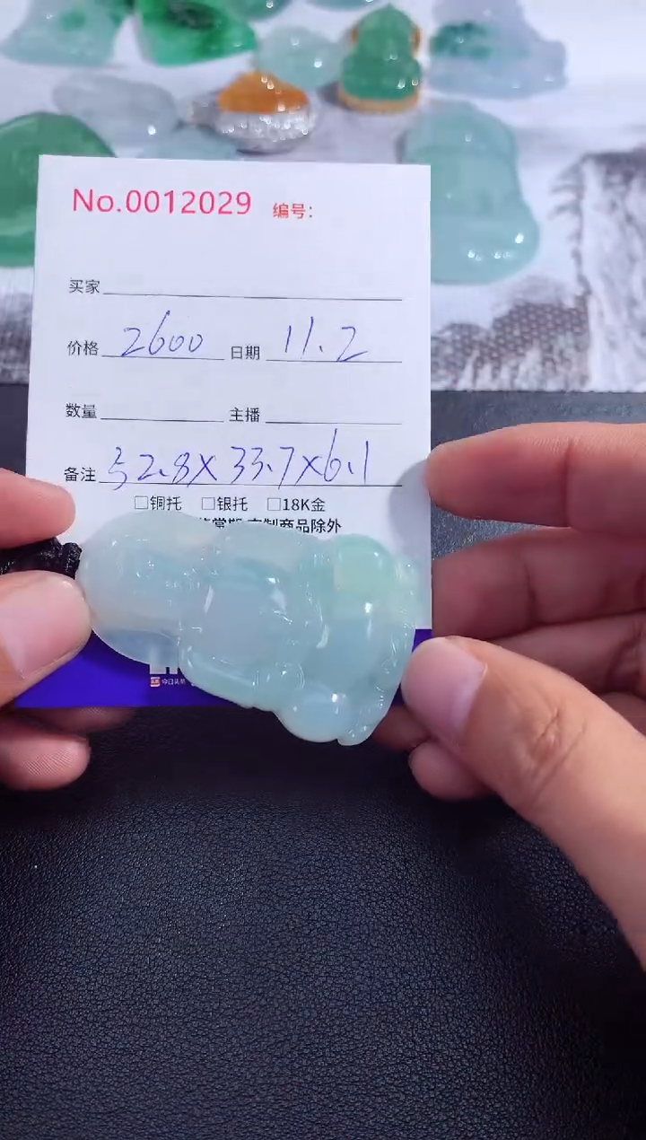 颈饰未镶嵌翡翠正装