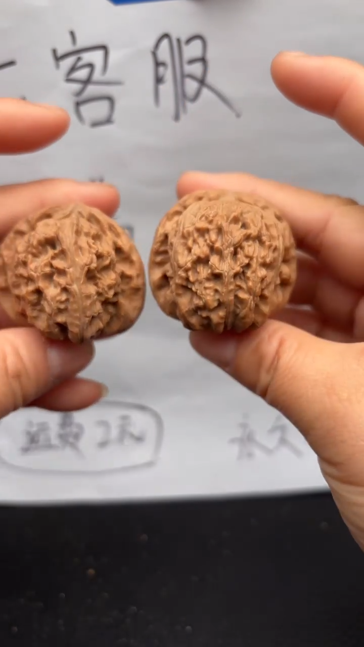 把件文玩核桃174白狮子