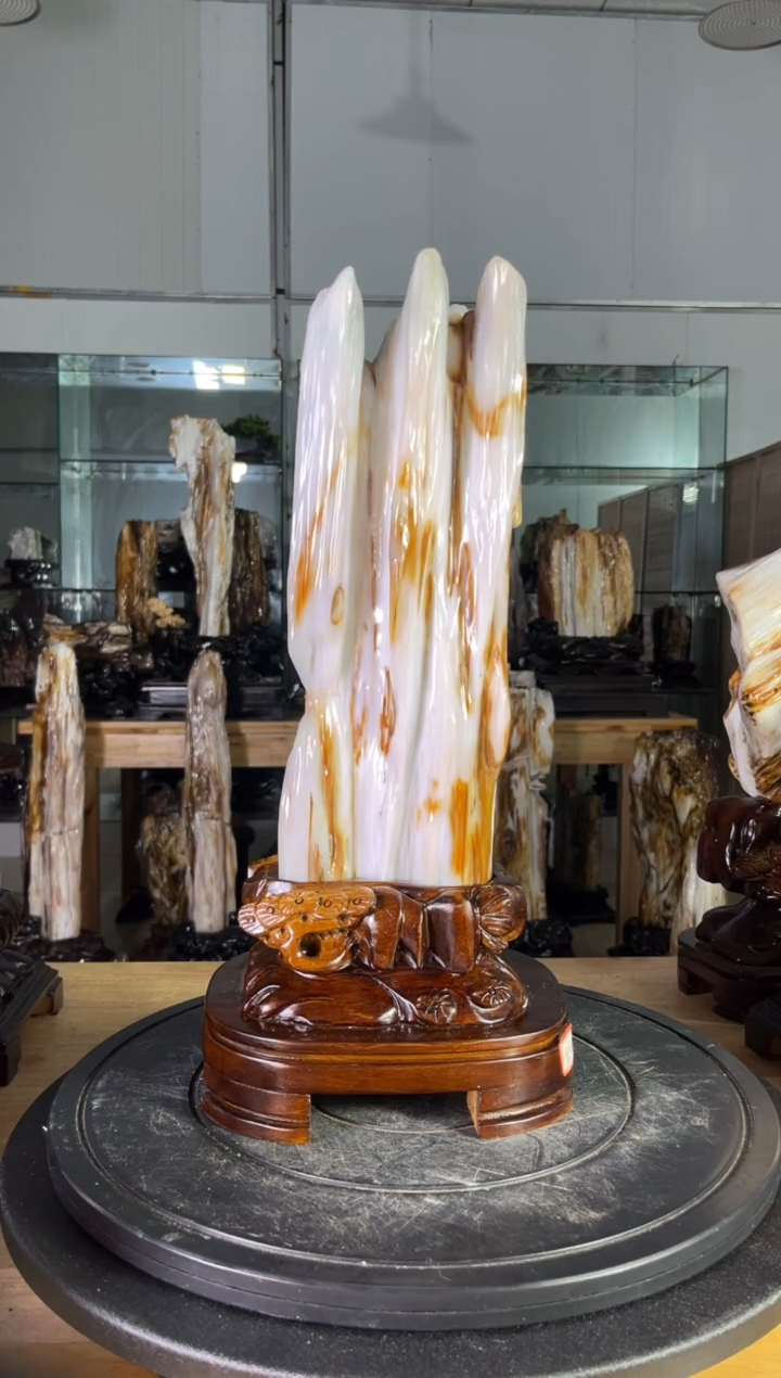 【闪购商品】硅化玉珠宝奇石未镶嵌1