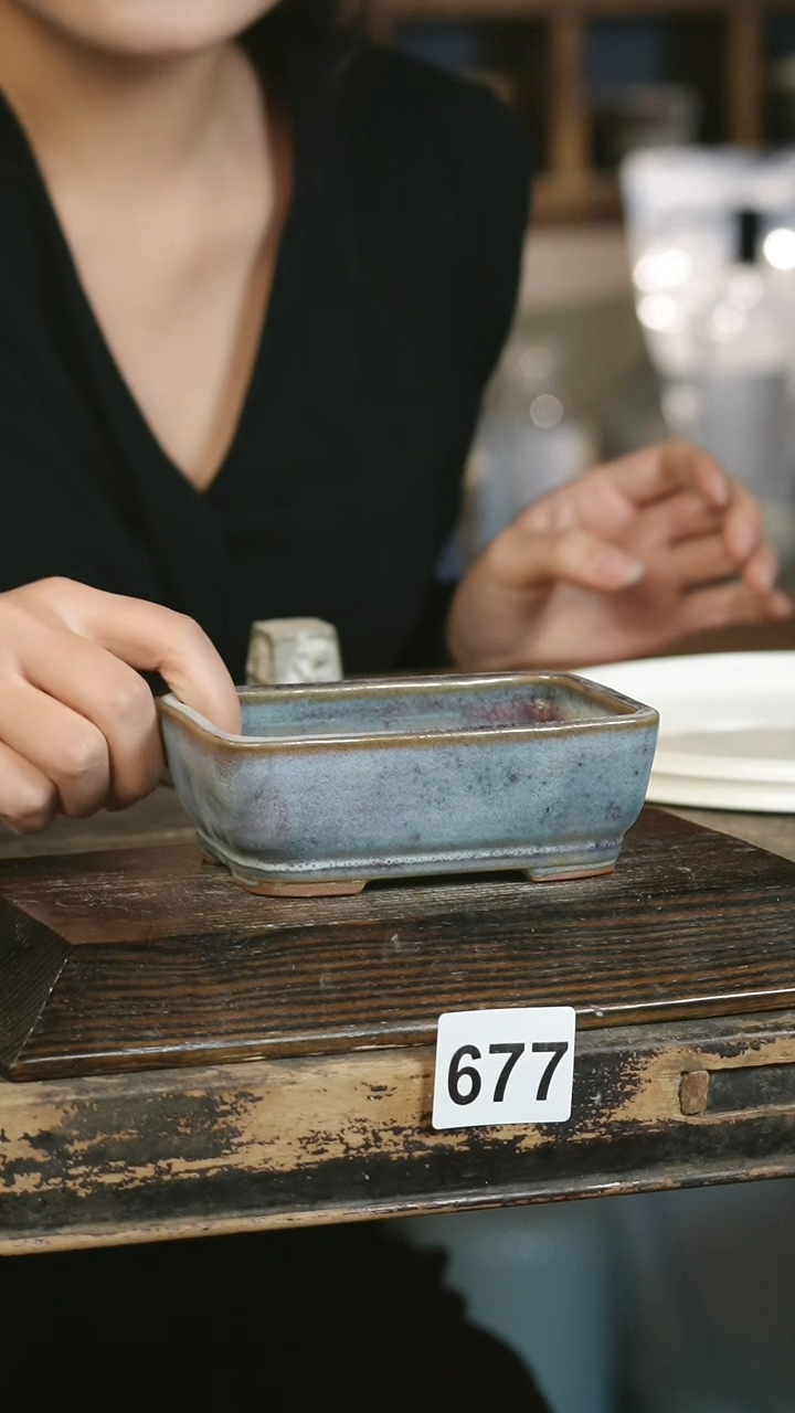 【闪购商品】瓷片见山北野见山北野