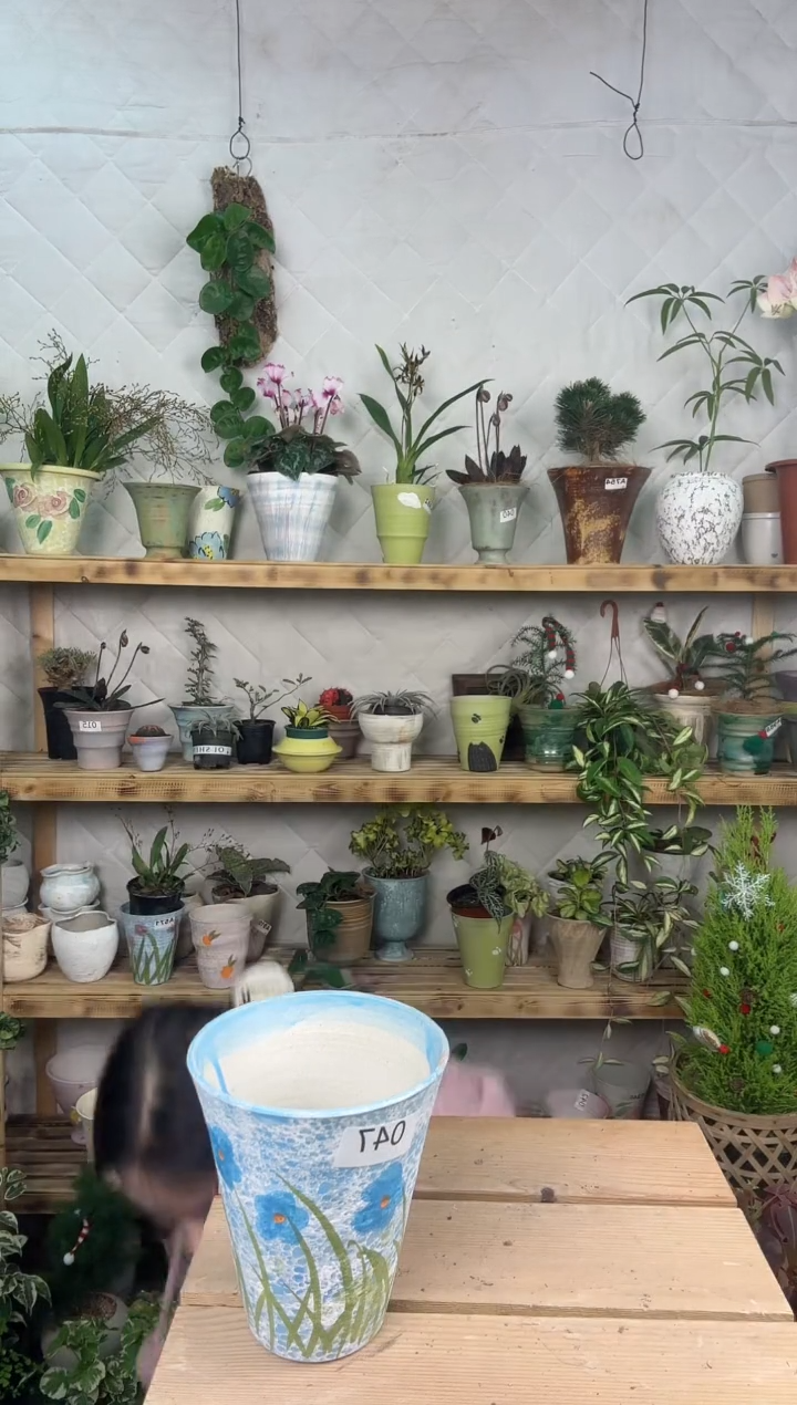 无花朵编号  714景德镇手工花盆   