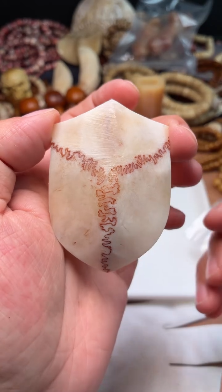 鹿骨其他母鹿三界A44