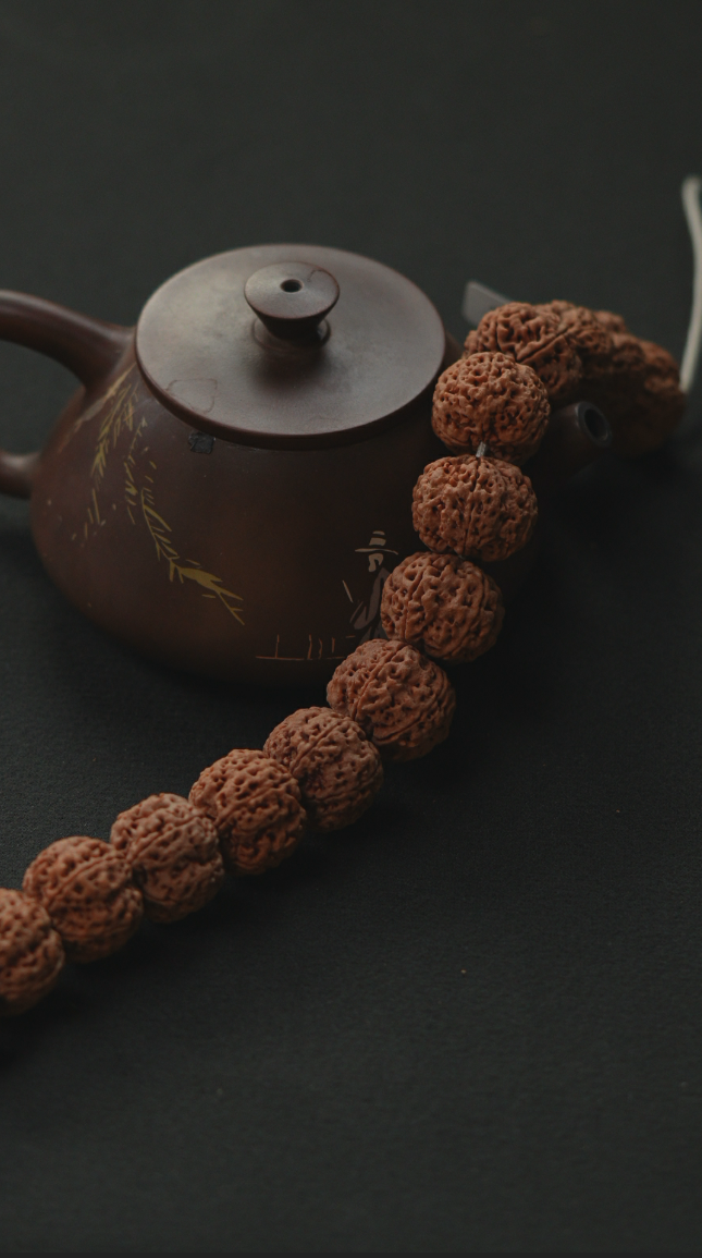 龙江问道-金刚菩提-（虎头蜂）