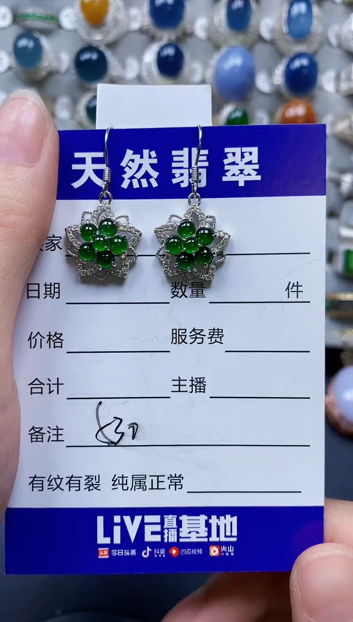 翡翠银S925镶嵌耳饰0530