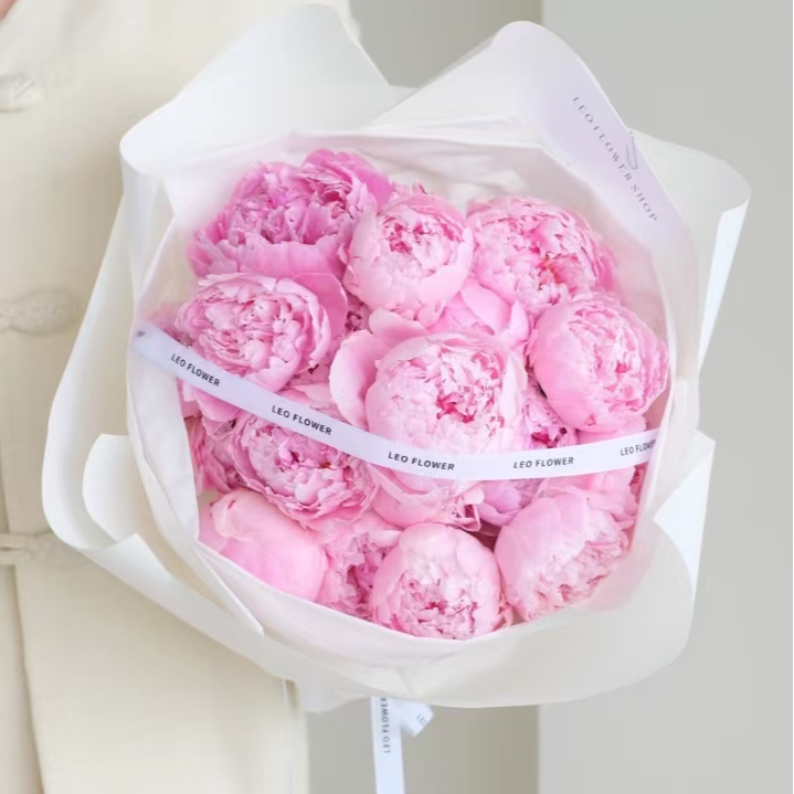 现货 莎拉进口芍药 菏泽基地直发