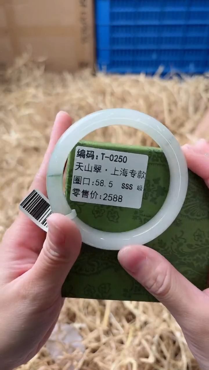 未镶嵌手镯和田玉T-0250