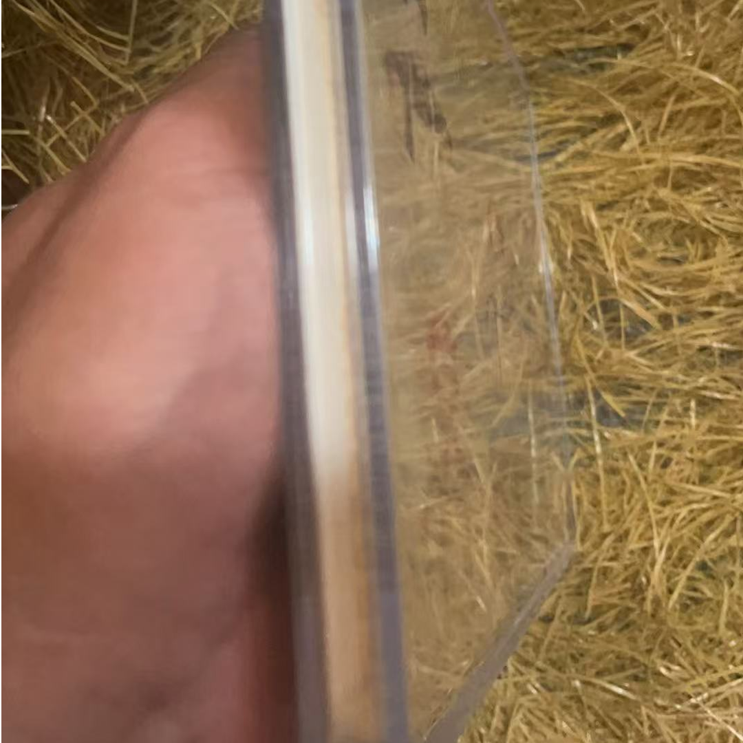 十二定精品摆件链接