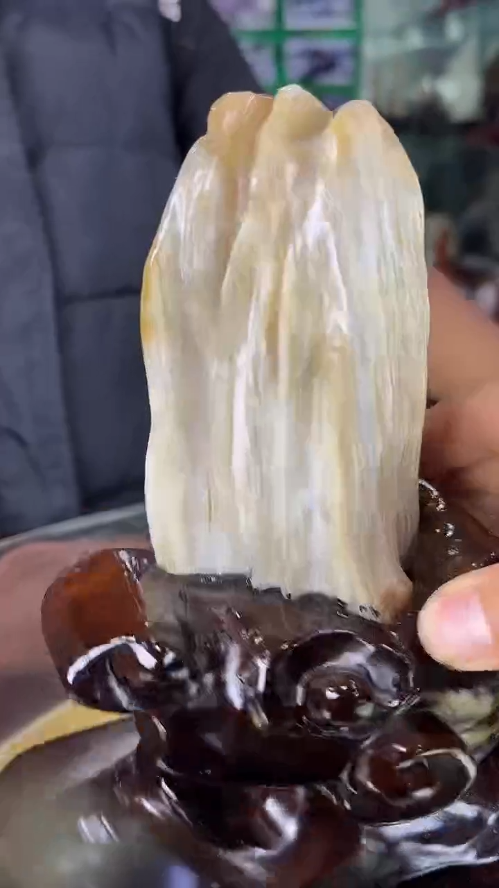 未镶嵌珠宝奇石硅化玉缅甸天然树化玉摆件