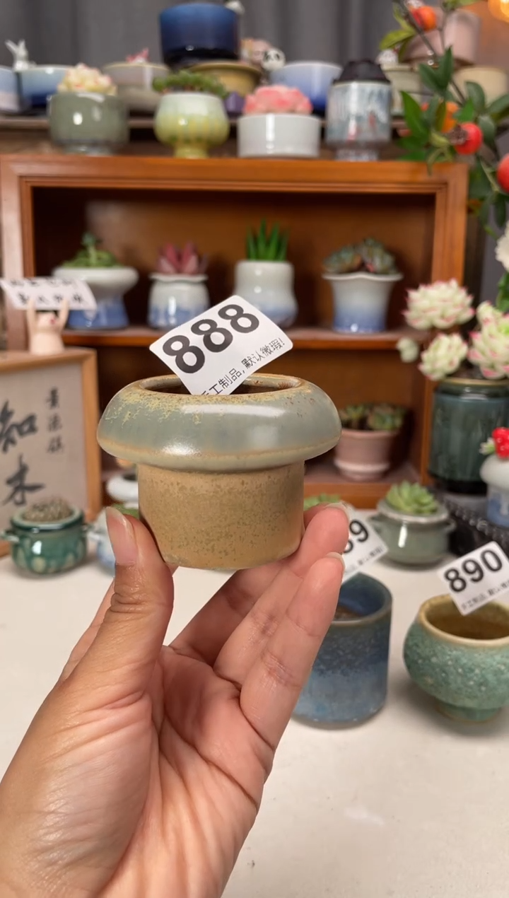 瓷片福利888知木小芳花盆