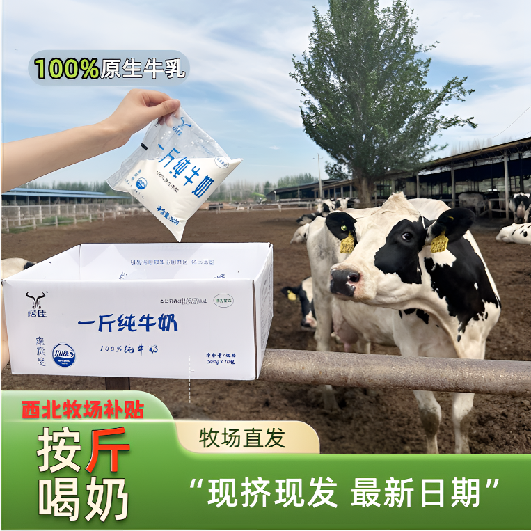 【玉姐专属】新鲜好日期纯牛奶生鲜专线发货儿童学生老人500g*9袋