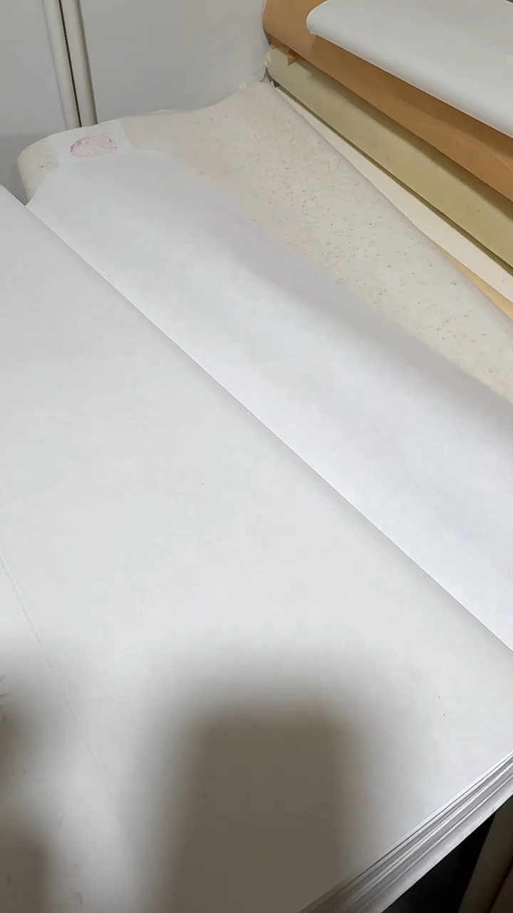 纯手工四尺整张100张书法专用老生宣