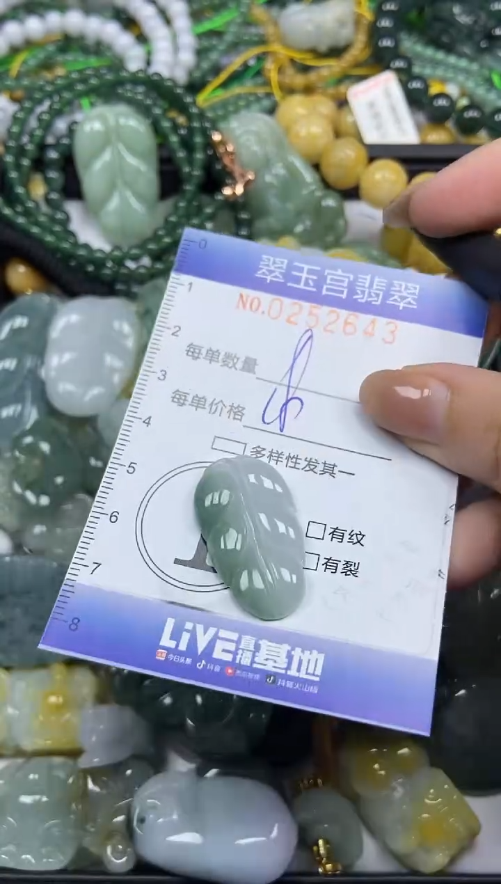 颈饰未镶嵌翡翠闪购C0252643