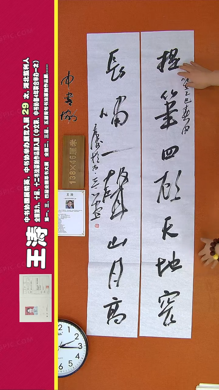 【闪购商品】书法348王涛书法作品