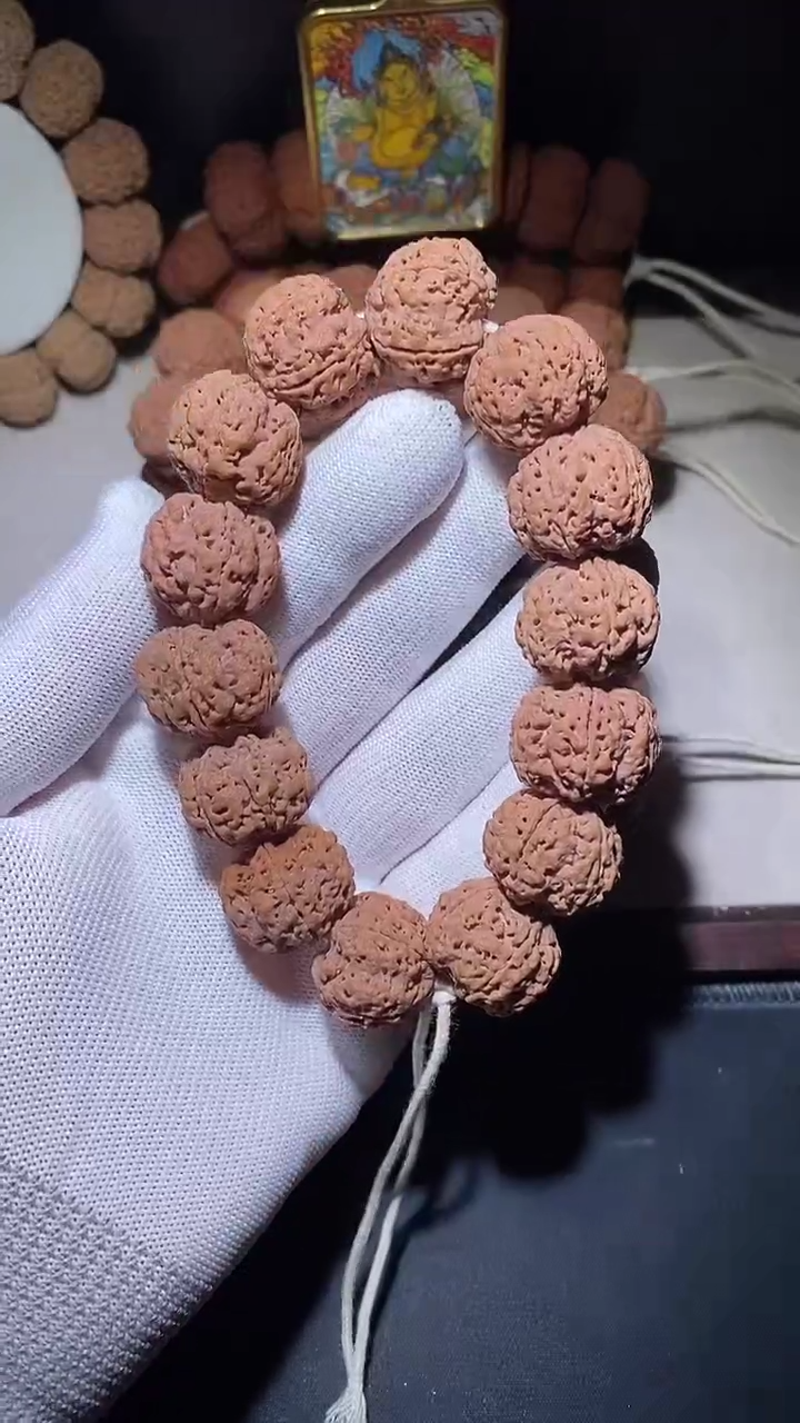 【闪购商品】金刚菩提手串粗筋双龙22